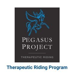 Pegasus Project