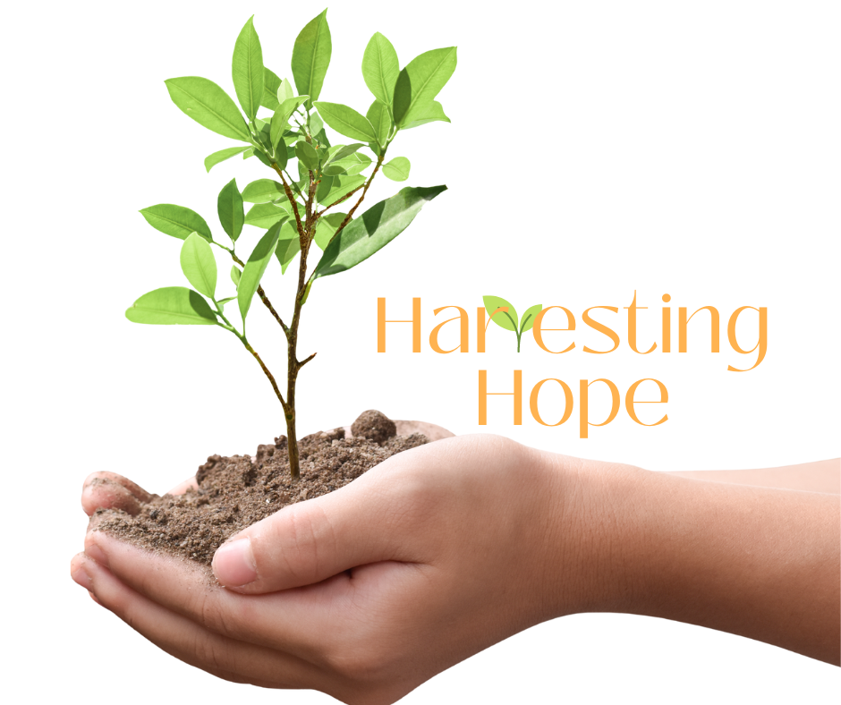 Harvesting Hope - flipped